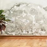 Mold2 Mold2